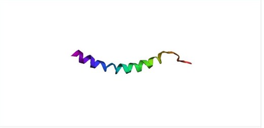 LL-37 3D structure thumbnail