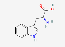 2D structure of D-Tryptophan
