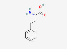 2D structure of L-Homophenylalanine