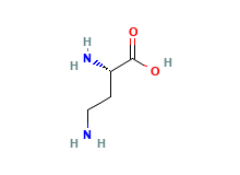 2D structure of L-2,4-Diaminobutyric acid