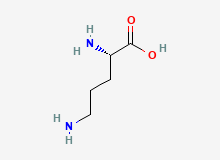 2D structure of L-Ornithine