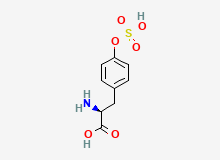 2D structure of O-Sulfo-L-tyrosine
