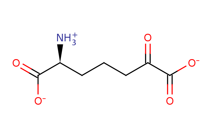 2D structure of 2-amino-6-oxopimelic acid