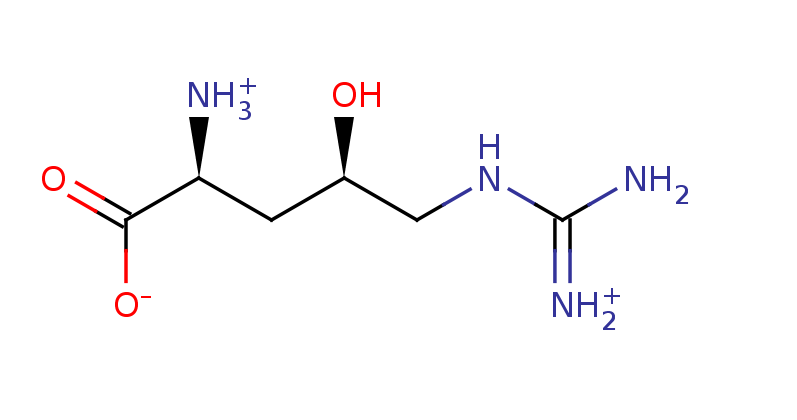 2D structure of C-gamma-hydroxy arginine
