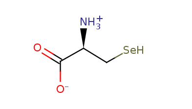 2D structure of Selenocysteine