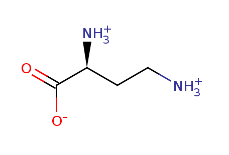 2D structure of Diaminobutyric acid