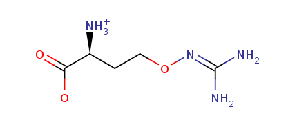 2D structure of Canavanine