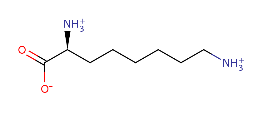 2D structure of (2S)-2,8-diaminooctanoic acid