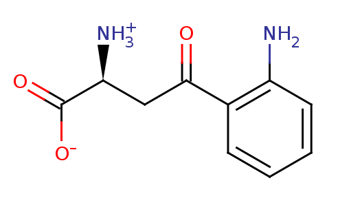 2D structure of Kynurenine
