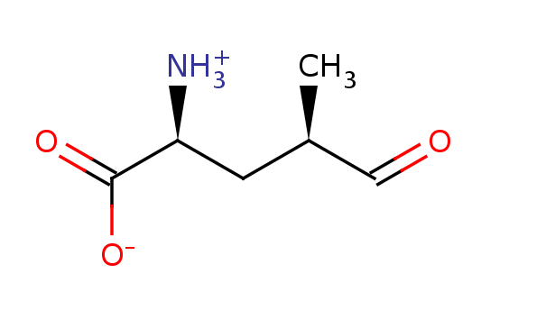 2D structure of (4R)-5-oxo-L-leucine